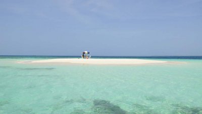 haiti ile a vache